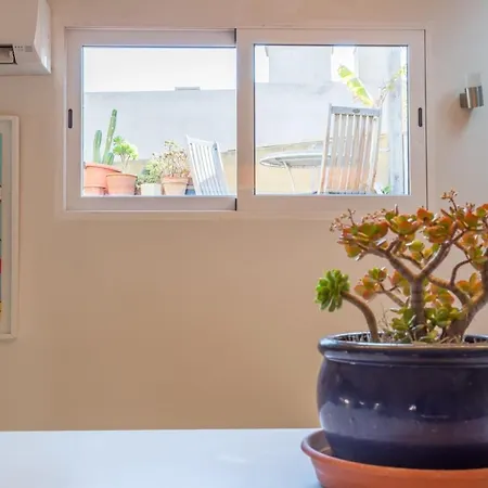 Atico Exclusivo Del Siglo Xvi Con Dos Terrazas En El Corazon De Ciutat Vella *